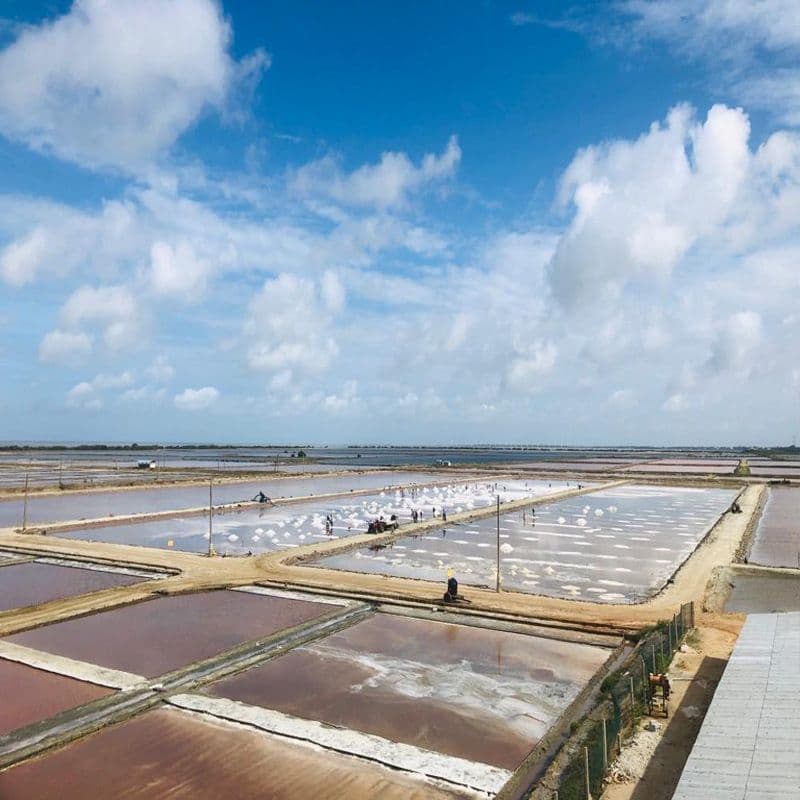 Puttalam Salt Pans: The Geometric Mirrors
